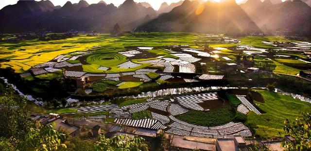 全国各省武器特产一览表辽宁,中国各地特产有哪些