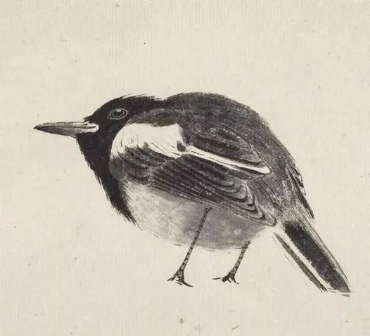 最简单画鸟的画法,各种鸟的画法简单又漂亮