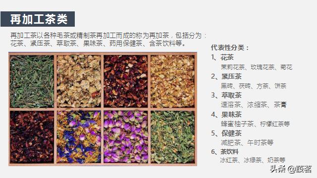 茶叶知识零基础入门手册书电子版,茶叶基础知识讲解课件视频