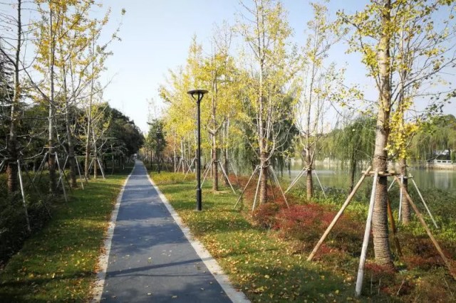 苏州真是一个回忆满满的地方,回忆满满的古镇