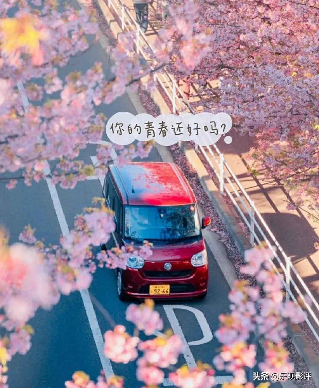 同事对你有暧昧怎么办,你和同事最暧昧的是什么