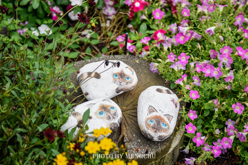 九州别府地狱温泉,别府八大地狱温泉攻略