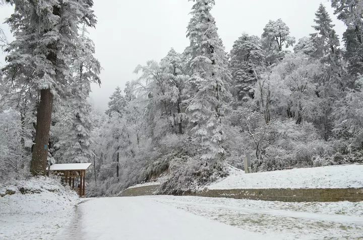 海螺沟温泉什么时候去最美,脑补一下
