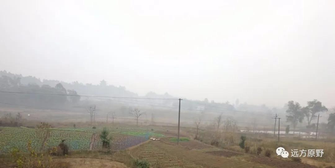 你想要的田园生活在哪里,你所向往的生活是什么