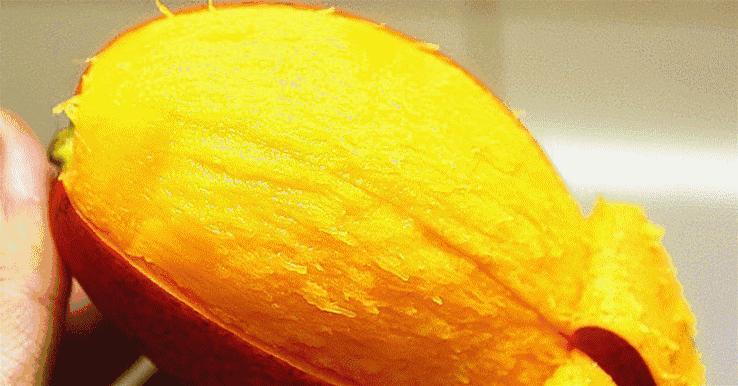 想吃芒果但是又买不到怎么办,想吃芒果又没有该怎么办