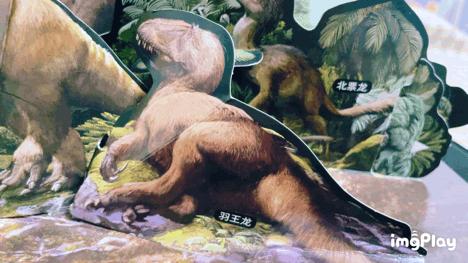 恐龙大百科恐龙探秘,恐龙探秘恐龙化石