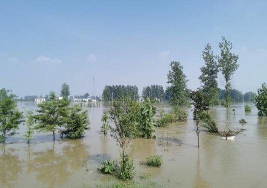 赵薇蒋雯丽长相分析,蒋雯丽比赵薇大10岁