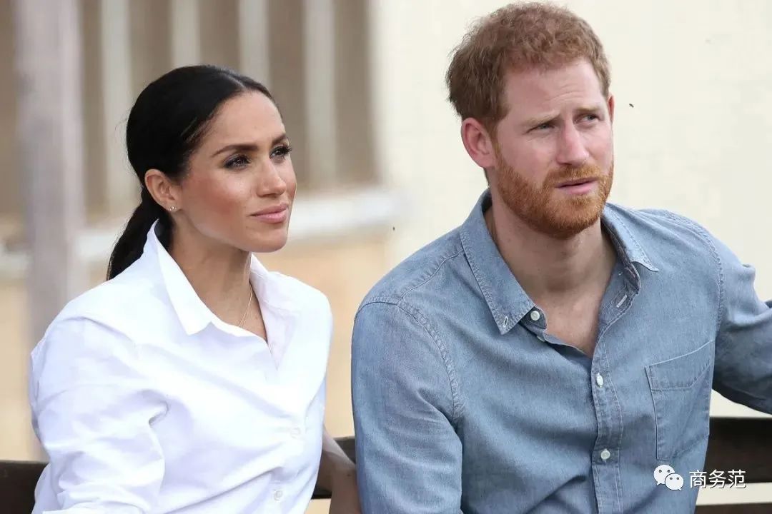 梅根为何总被黑,梅根为啥被黑得那么惨