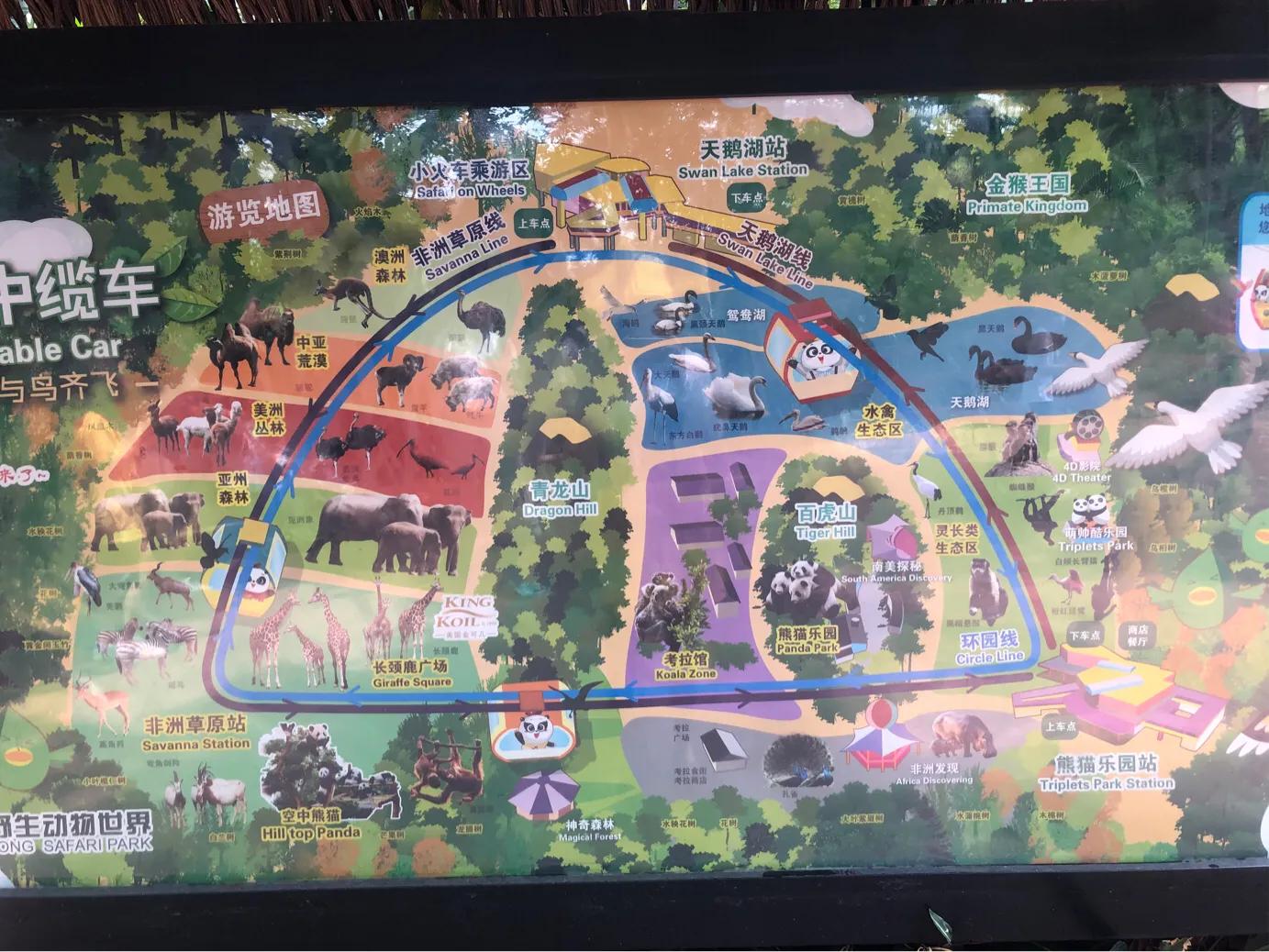 暑期广州长隆野生动物世界门票,长隆海洋王国和野生动物园门票