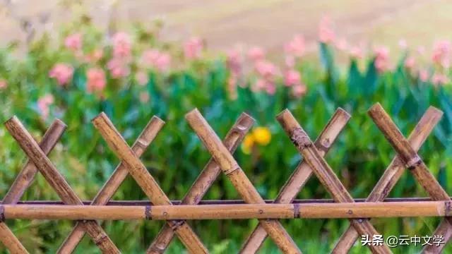 收藏100首夏日诗词带你清凉一夏,100首夏日诗词助你清凉一夏