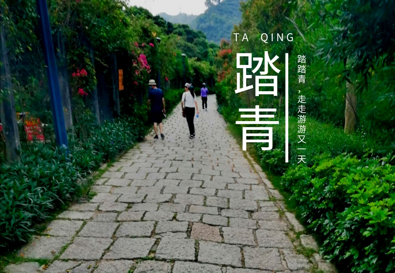 只要你一年不碰手机就给你70万,你敢挑战吗?