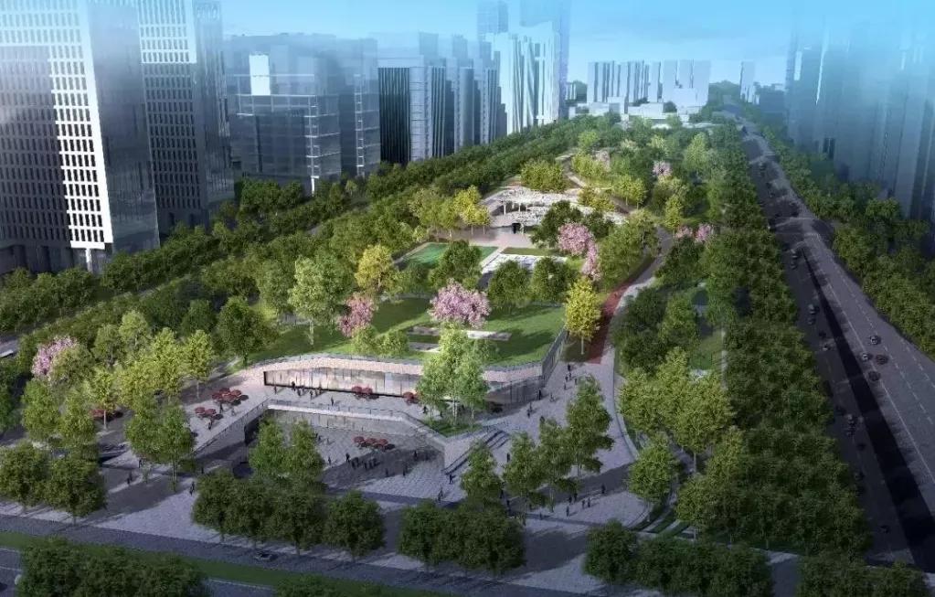 西安体育成绩单,2024西安体育测试成绩单