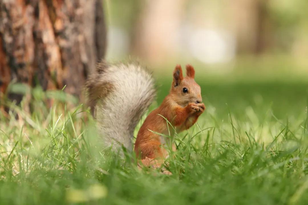 最经典最值得背的古文大全,最难背的十篇古文