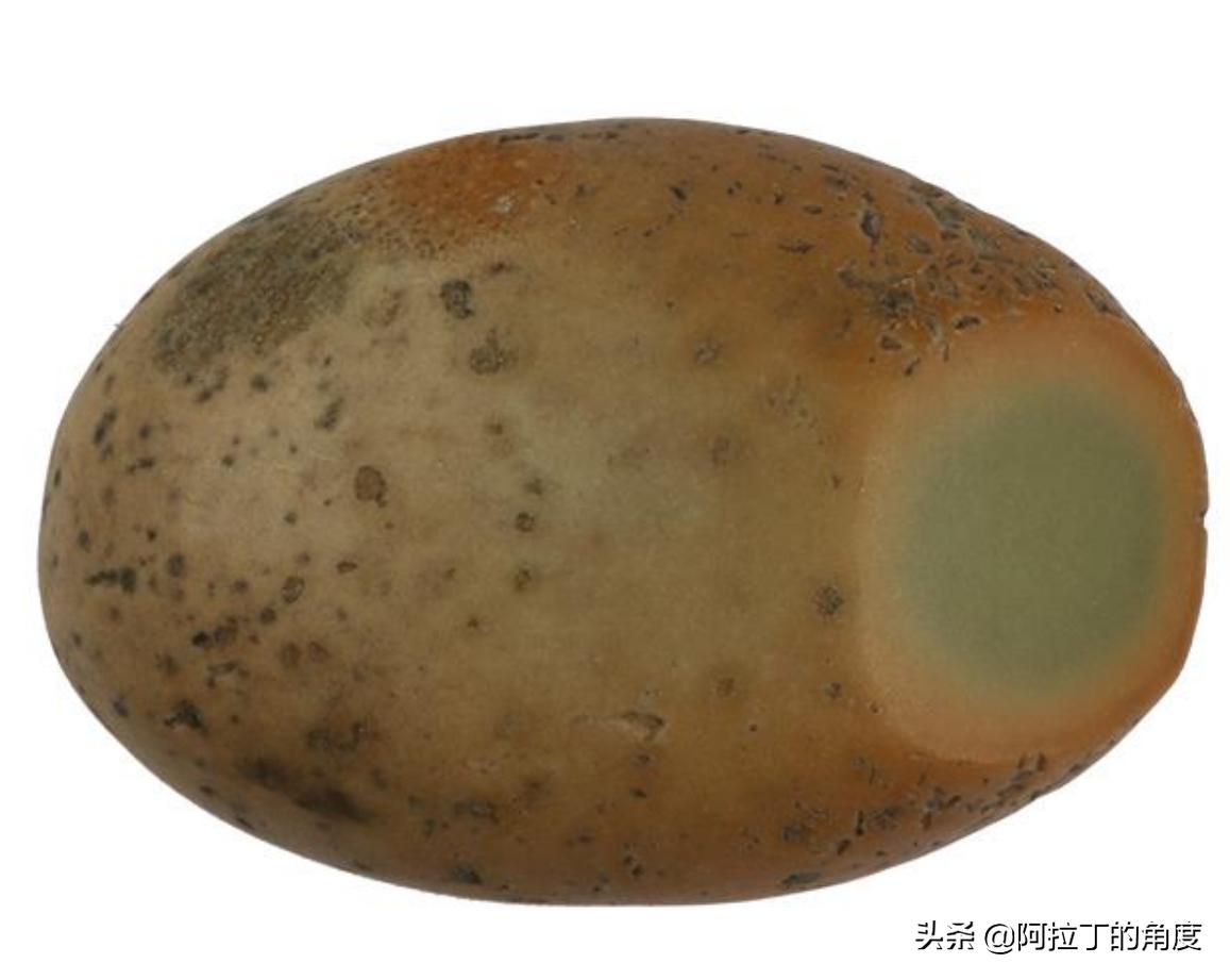 每天都有陨钻出现，别有用心的人不要再发布了，还石友一片净土