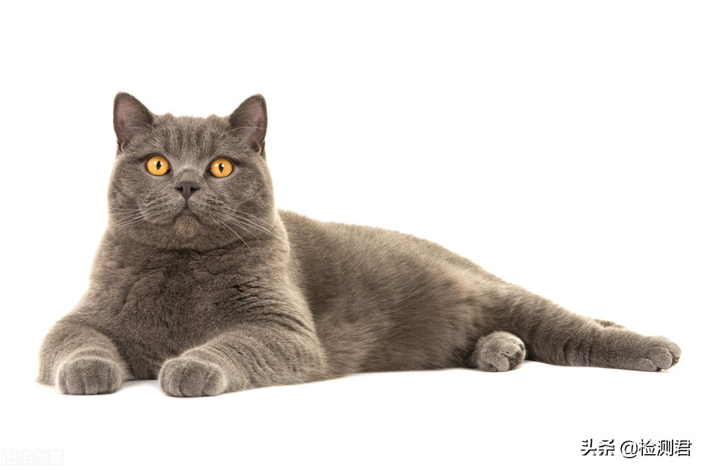 检测iphone13p,iphone13检测硬件是不是原装