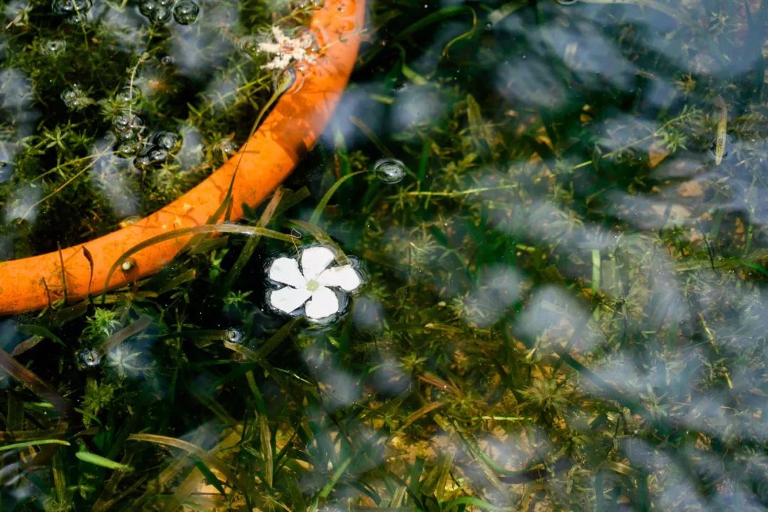 南京玄武湖边还有啥好玩的,玄武湖有什么好玩的