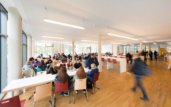 去德国学习怎么样 (德国生活学习真实状况)