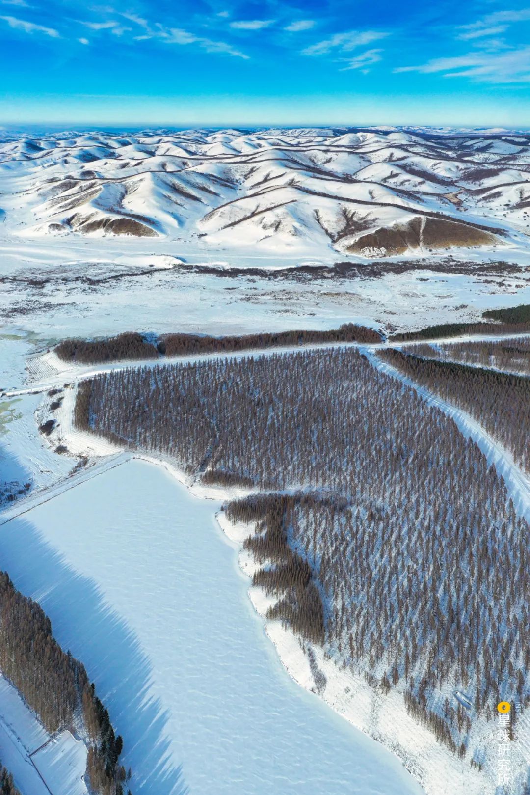 中国植树造林成果国外有什么看法,植树造林改造沙漠