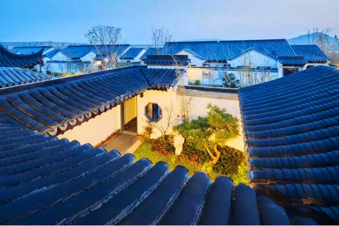 央视整治房地产市场专项行动,央视整治房产