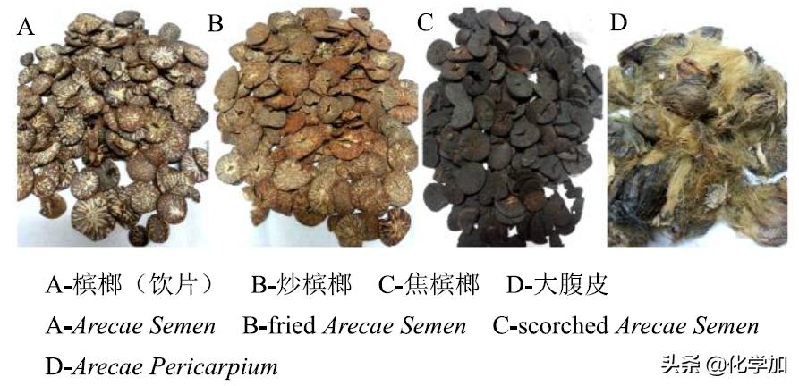 治病名药VS致癌魔丸——争议的双面槟榔
