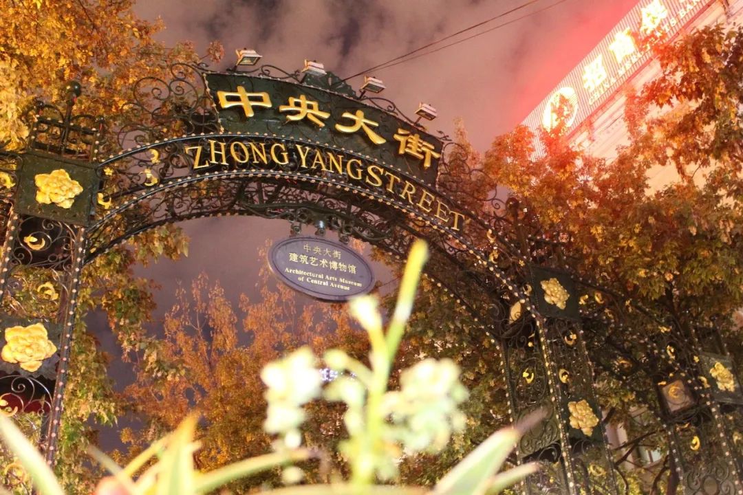 哈尔滨东方小巴黎,哈尔滨为什么被称为东方小巴黎