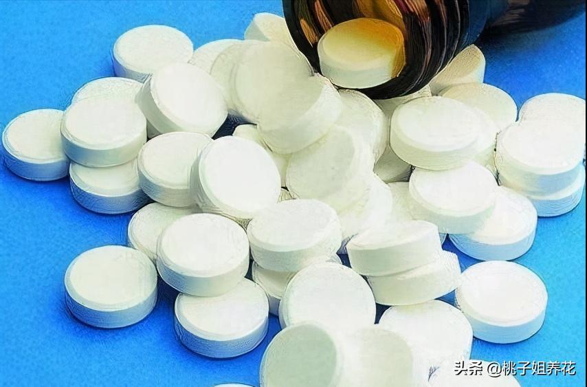 这3种自制“生根水”，用来扦插君子兰、蟹爪兰，插1盆活1盆