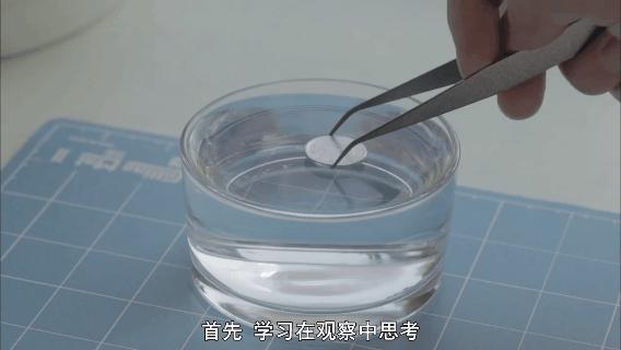 像乌鸦一样思考20集完整版中文,像乌鸦一样思考纪录片全集国语版