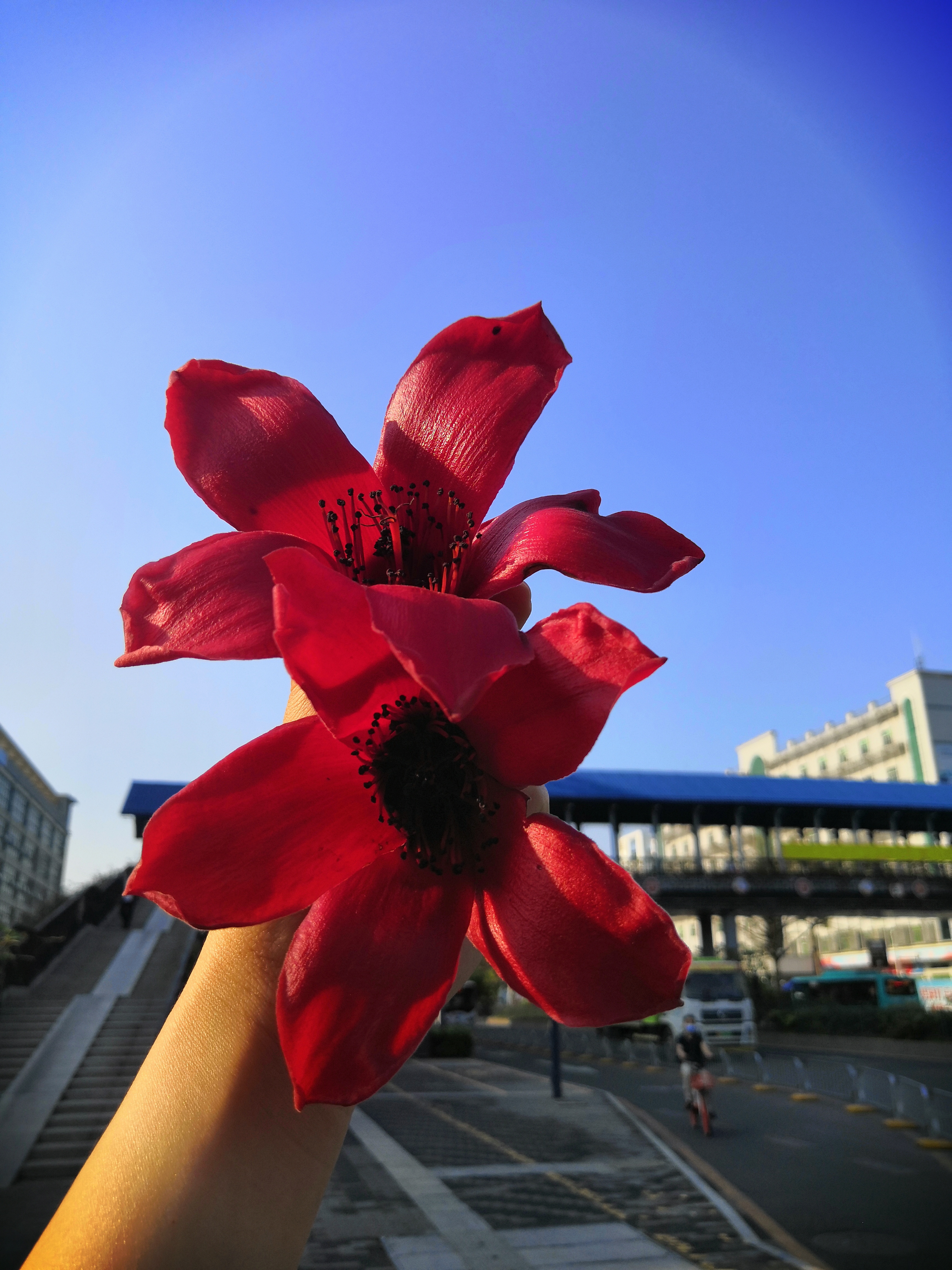 深圳欢乐谷世界之窗哪里好玩,深圳世界之窗欢乐谷