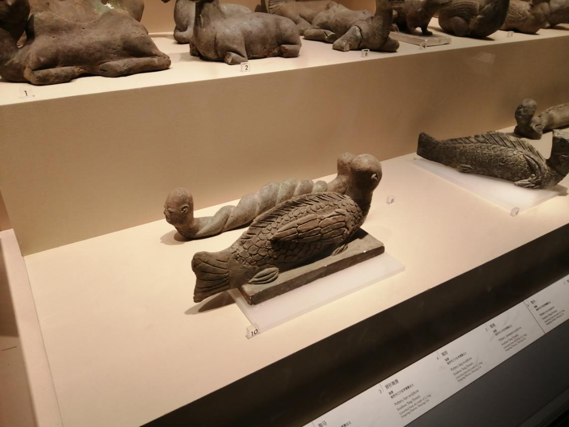 北回归线丨第二十四天（20200722）：南京