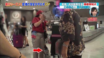 携带违禁品被拦有什么影响,携带禁止携带物品上车怎么处理