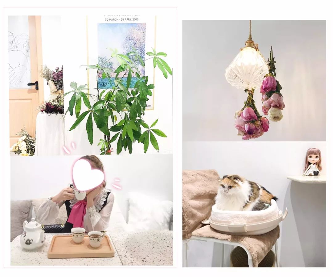 盘点美食界的假美食,盘点被包装欺骗的美食