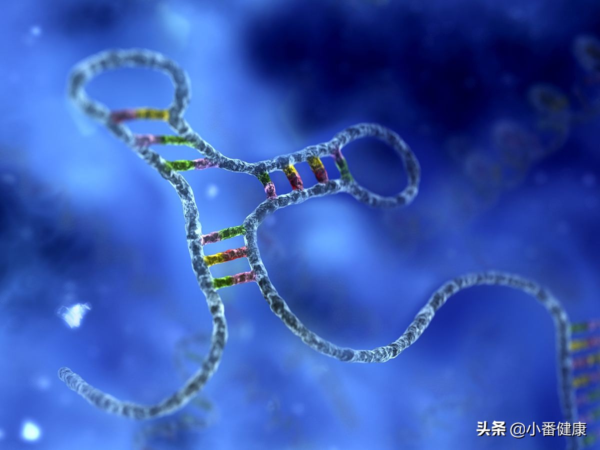 2021乙肝在研新药临床,2019乙肝在研新药进展及成果