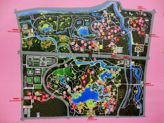 来奥森赏花,奥森花海看花上热门