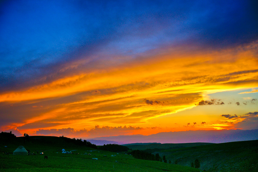 梵高画不出的向日葵,梵高画中的风景