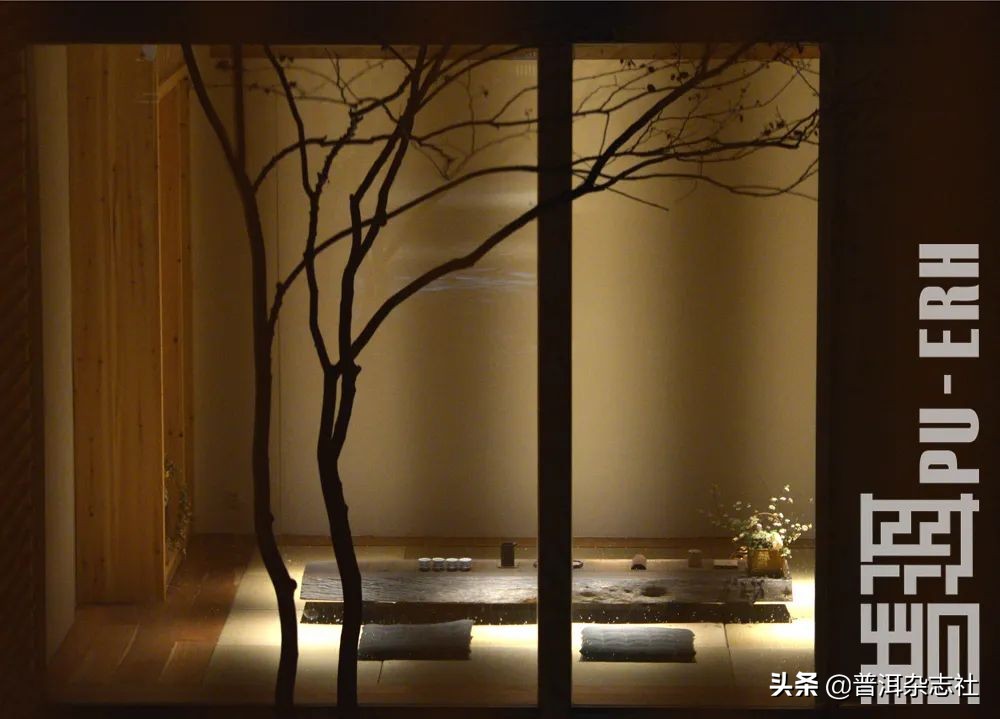 古树茶贵但贵的不一定是古树,古树茶好喝吗值得买吗知乎