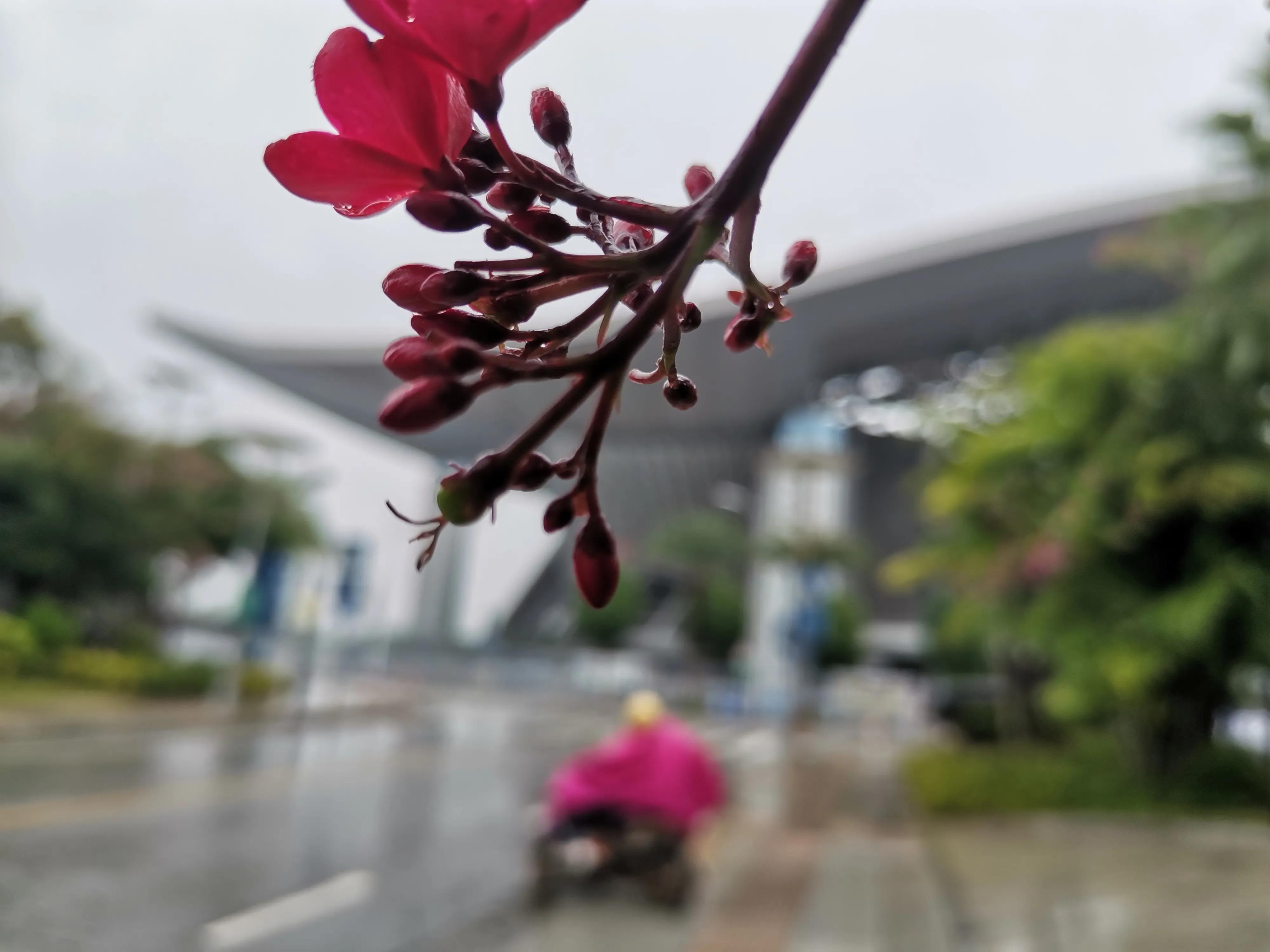 广西体育中心1号足球训练场,南宁足球体育训练基地