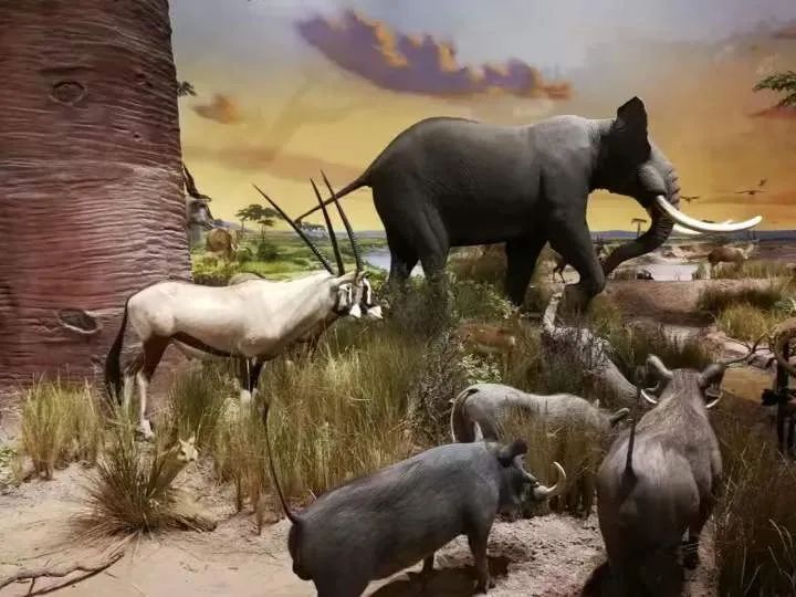 青岛博物馆打卡攻略,北京必打卡的宝藏博物馆