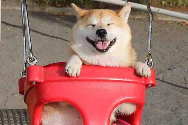 荷兰最差广告语，“和美人鱼的舌吻”是什么鬼？