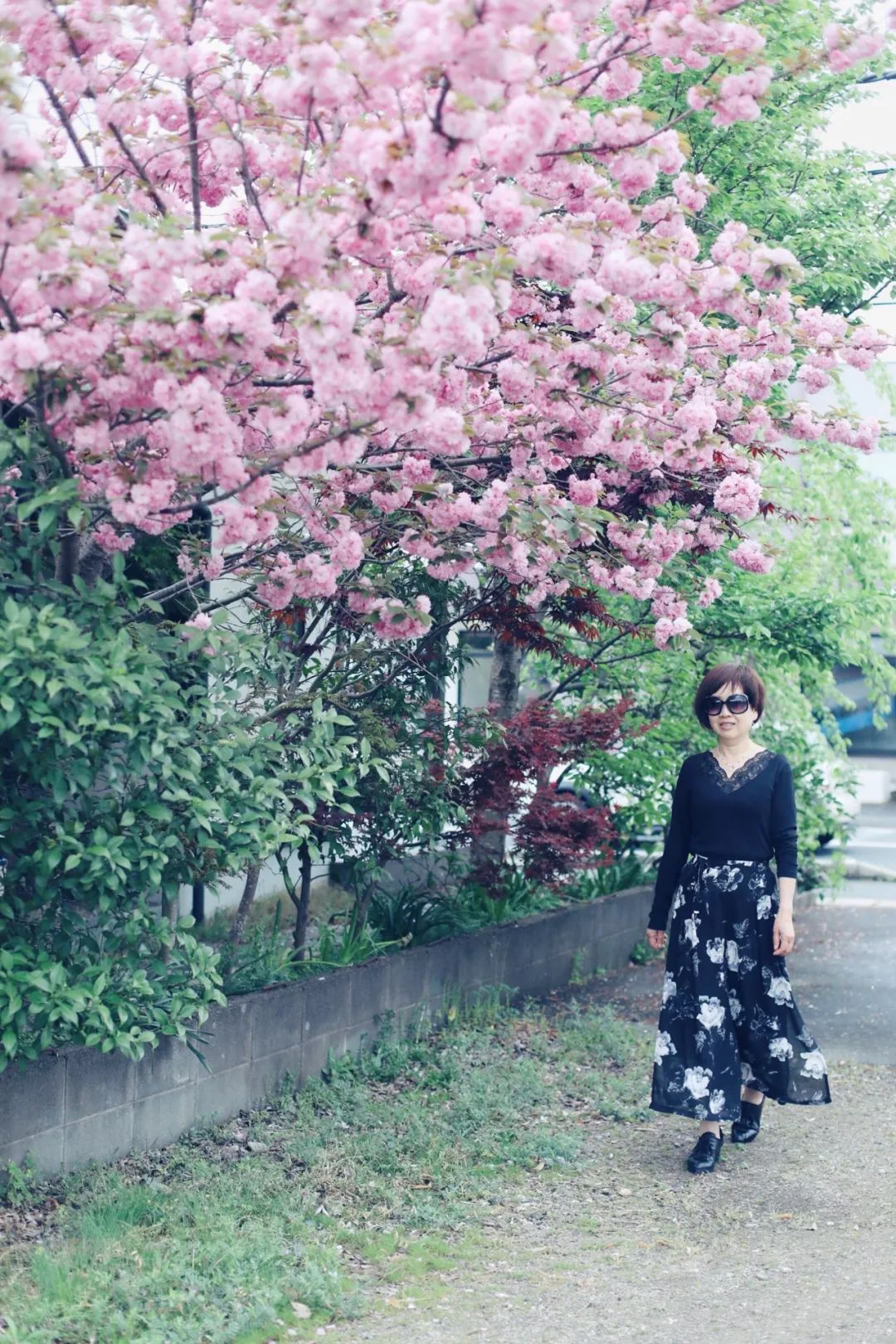 带父母豪华游轮环球旅行,带着父母们出游