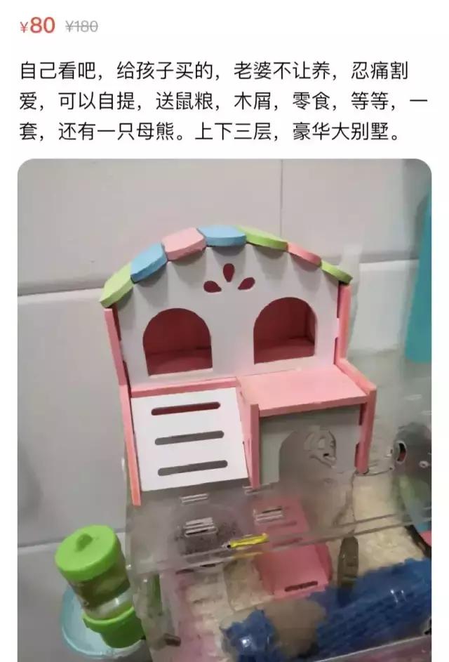 老公偷偷在网站上做这种交易，看完又气又好笑