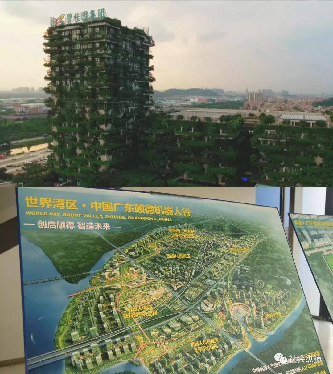 广东顺德人的真实生活,广东顺德人有多厉害