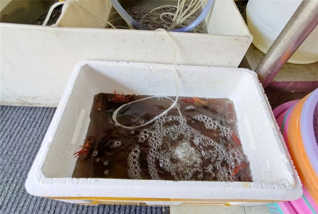 转让！招租！无锡小吃店开开关关的“生死录”