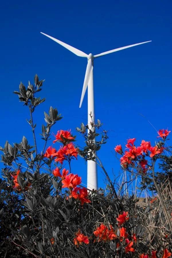 风情小镇|世界矾都，明矾故里