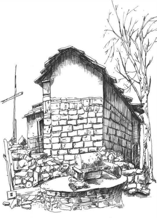 速写风景初学者入门教程,速写风景初学者入门教程植物