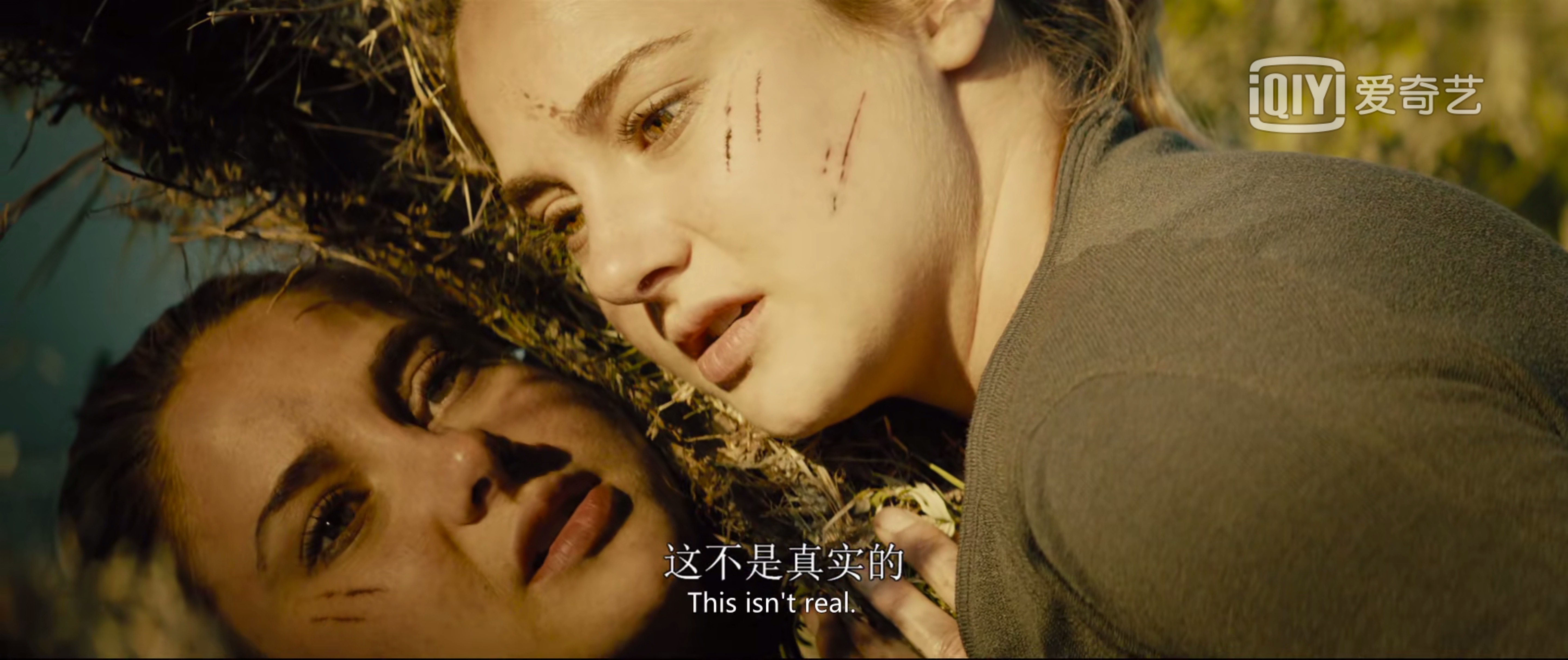 疫情像《分歧者》里的血清，在恐惧面前该如何选择？