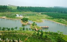 上海市崇明区属哪,崇明区会计税务概况