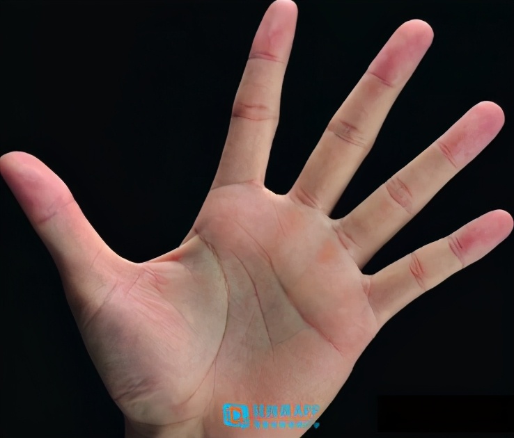 动漫简笔画手部绘画,二次元动漫手部画法