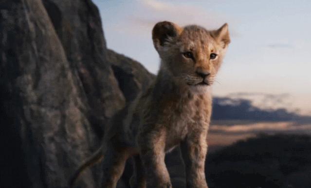 狮子王辛巴巅峰时期,狮子王辛巴有多强