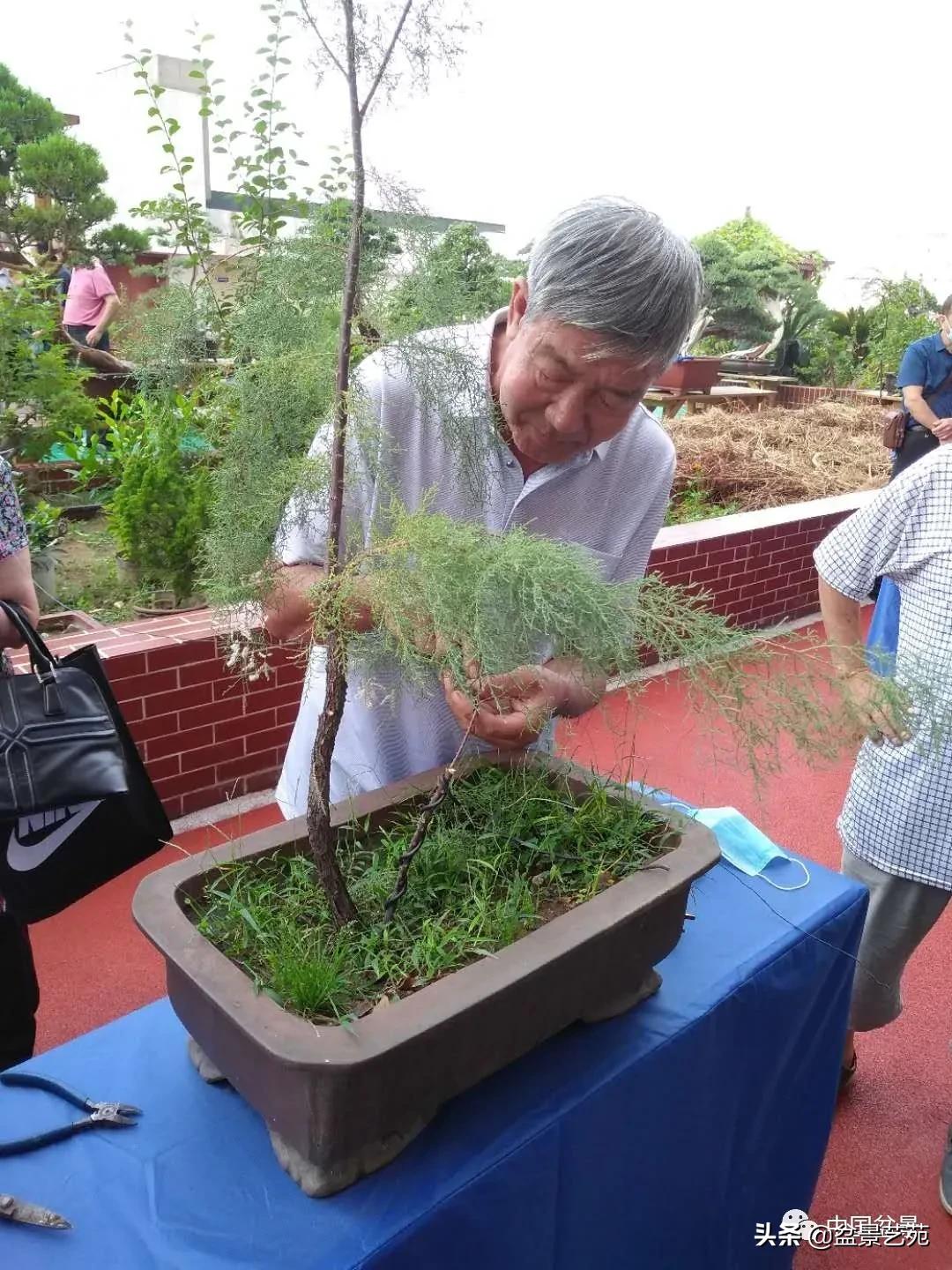 涓浗钁楀悕鐩嗘櫙澶у笀绮惧搧鐩嗘櫙,鐩嗘櫙鑹烘湳瀹跺拰鐩嗘櫙鑹烘湳澶у笀