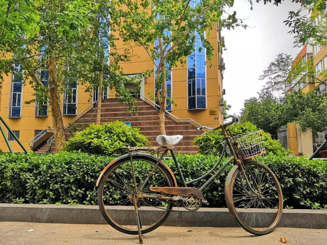 生活在济南城市怎么样才能快乐,生活在老城区的感受